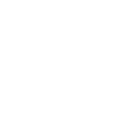 Search Icon